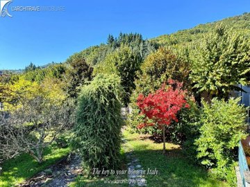 IMG_6917.jpg