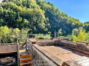 IMG_6905.jpg