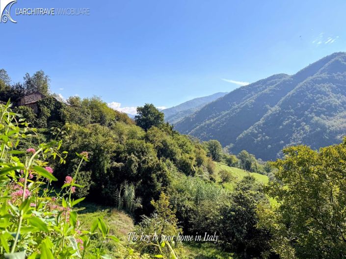 Image No.19-4 Bed House for sale