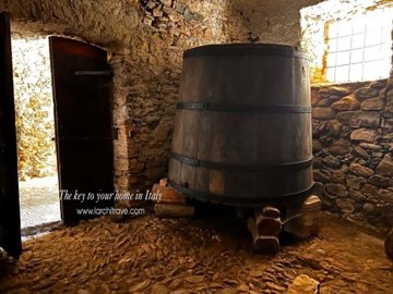 IMG_2307.jpg