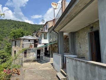 IMG_6315.jpg