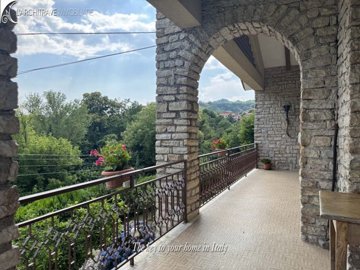 IMG_7221