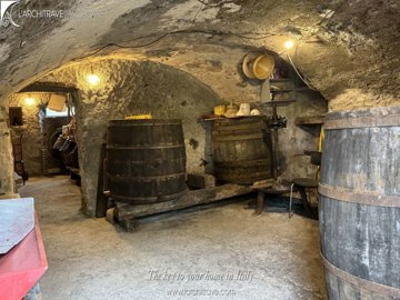 IMG_7365.jpg