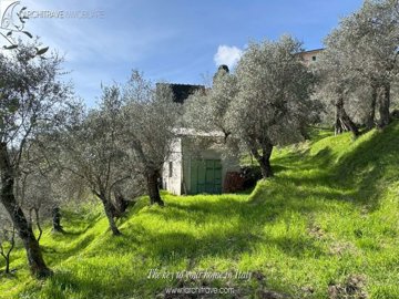 LA VALLE (28).jpg