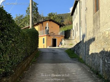 IMG_8450.jpg