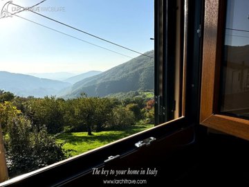 IMG_8427.jpg