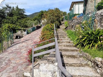 IMG_2483