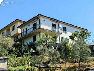 IMG_1249