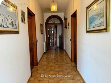 IMG_1212