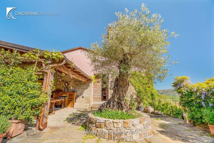 Image No.4-6 Bed House for sale