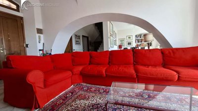 geralda nuove (7)