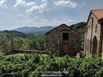 PODERE DELLA COSTA 81.jpg