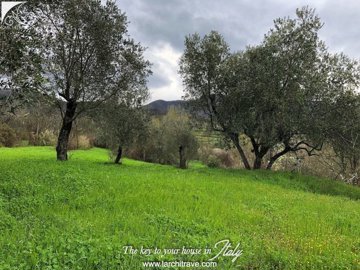 PODERE DELLA COSTA 45.jpg