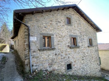 IMG_7575.jpg
