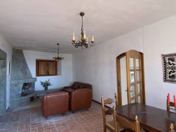 IMG_7561.jpg
