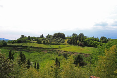 La Tenuta (58).jpg