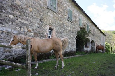 CASALE PRATERIA 46 copia.JPG