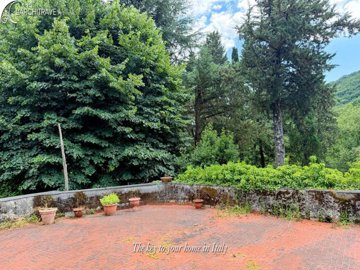 IMG_1419