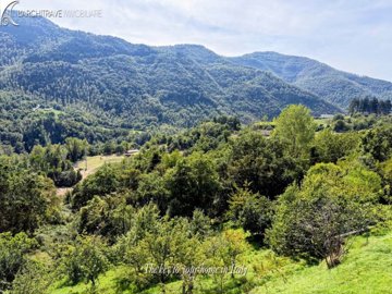 IMG_2469
