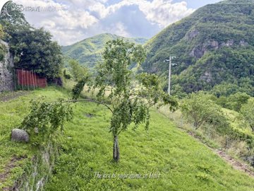 IMG_0829
