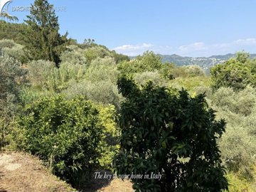 IMG_1855