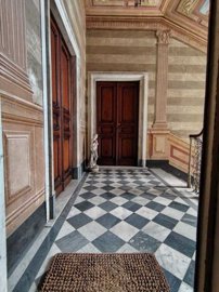 CARRARA (35)