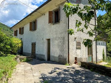 IMG_1466