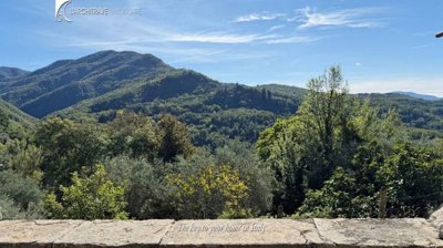 IL MELOGRANO (1)