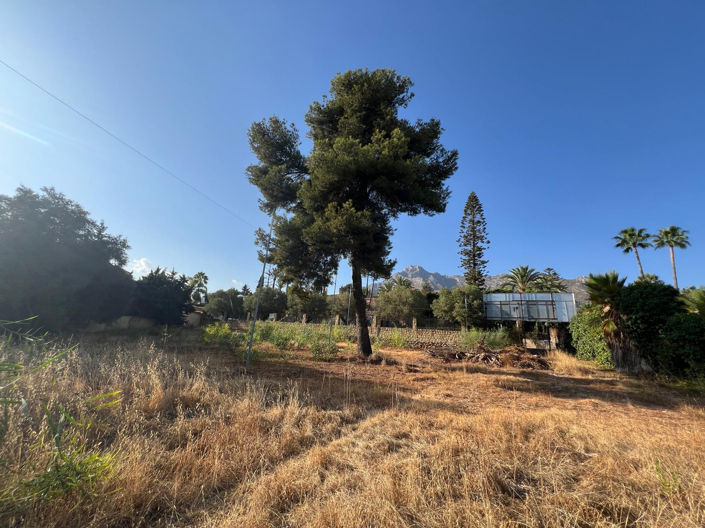 Image No.4-Plot for sale