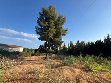 b98le8d7m9k3degpefzhs0lif8u4xzvzhwxtmggyekxx9