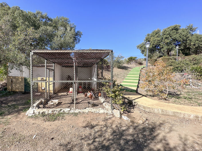 Image No.17-5 Bed Finca for sale