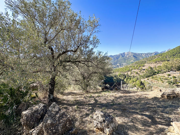 Image No.27-5 Bed Finca for sale