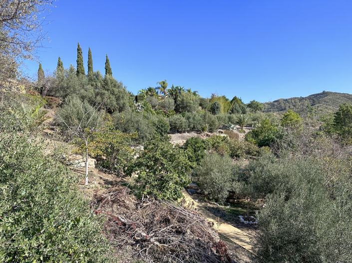 Image No.31-5 Bed Finca for sale