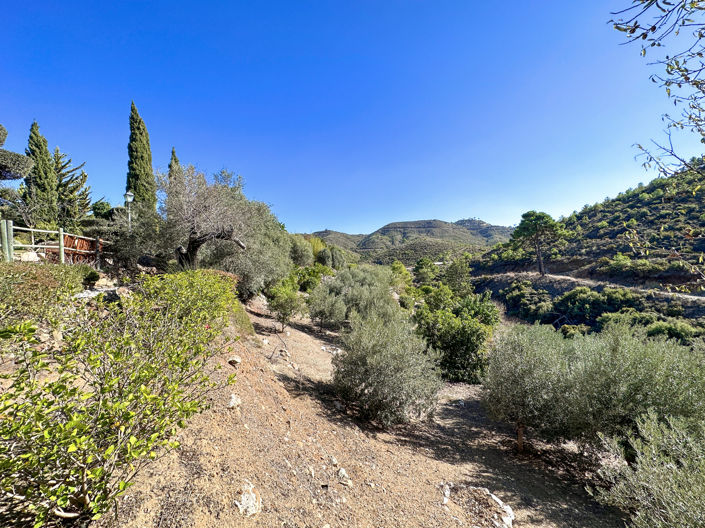 Image No.32-5 Bed Finca for sale