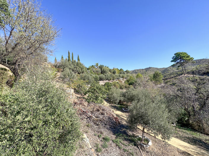 Image No.33-5 Bed Finca for sale