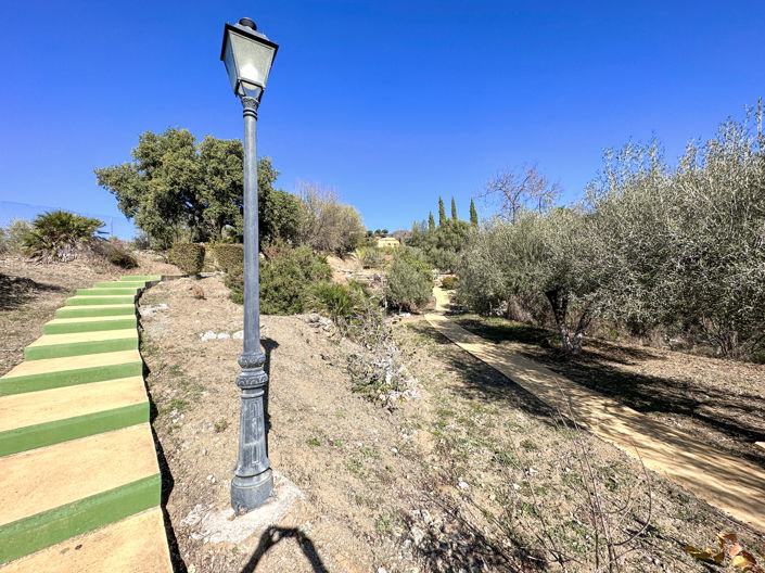 Image No.36-5 Bed Finca for sale