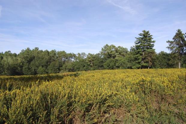 Image No.6-Propriété de pays de 21 chambres à vendre à Montguyon