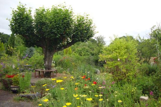 Image No.4-Maison de 7 chambres à vendre à Montguyon