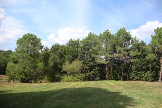 Image No.12-Maison de campagne de 3 chambres à vendre à Montguyon