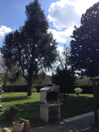 Image No.19-Châteaux de 11 chambres à vendre à Montguyon