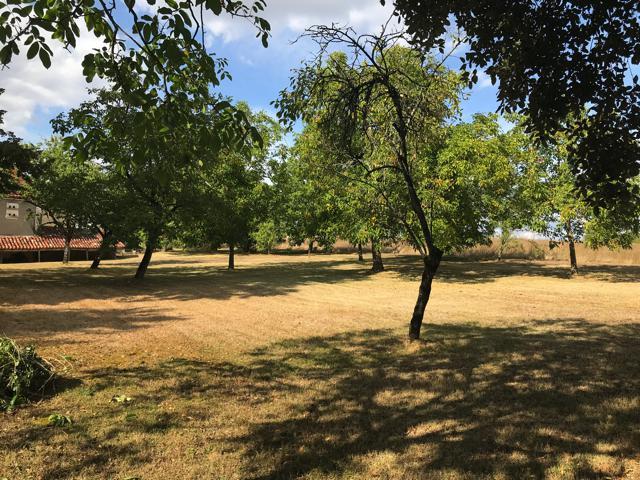 Image No.3-Maison de campagne de 4 chambres à vendre à Festalemps