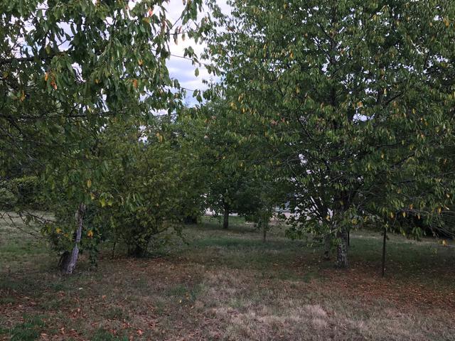 Image No.7-Maison de village de 9 chambres à vendre à Montguyon