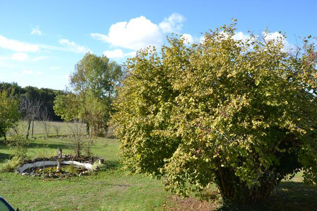 Image No.2-2 Bed House for sale