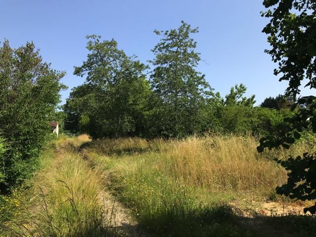 Image No.4-Maison de ville de 4 chambres à vendre à Montguyon