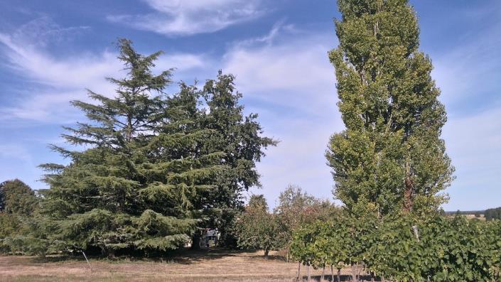 Image No.8-3 Bed Country House for sale