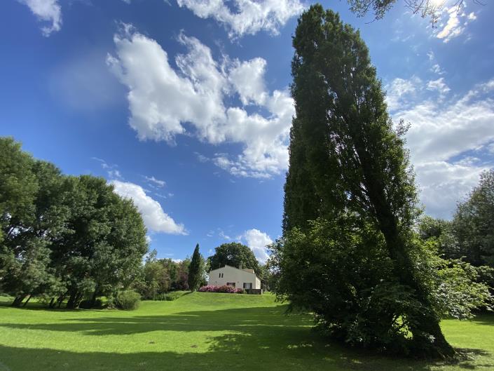Image No.8-Maison de 5 chambres à vendre à Saint-Aigulin