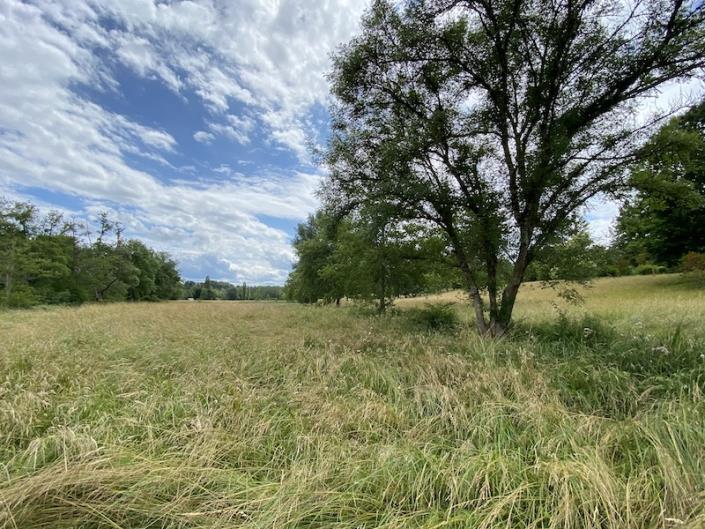 Image No.11-5 Bed House/Villa for sale