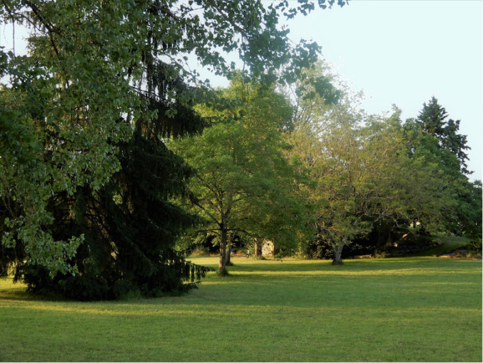 Image No.2-4 Bed Country House for sale