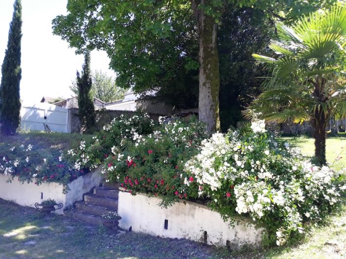 Image No.3-Châteaux de 5 chambres à vendre à Barbezieux-Saint-Hilaire