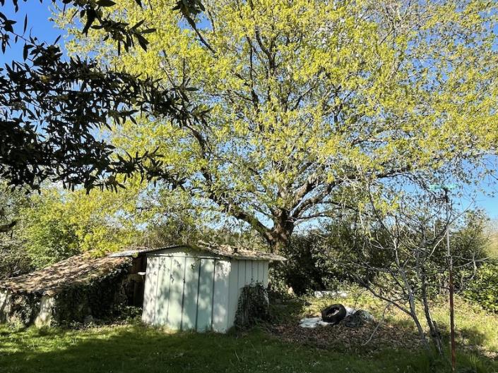 Image No.7-2 Bed Bungalow for sale